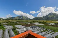 Teras Sawah Guest House Syariah - Mountain view