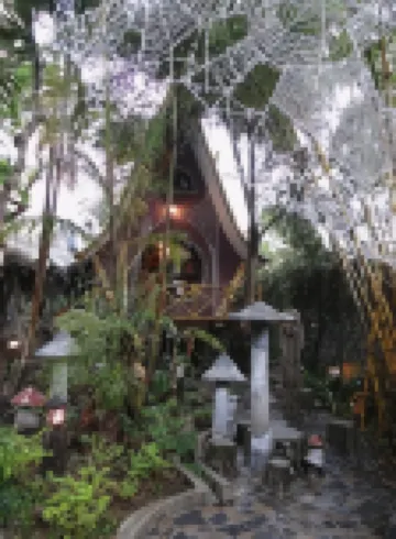 クレイジーハウス