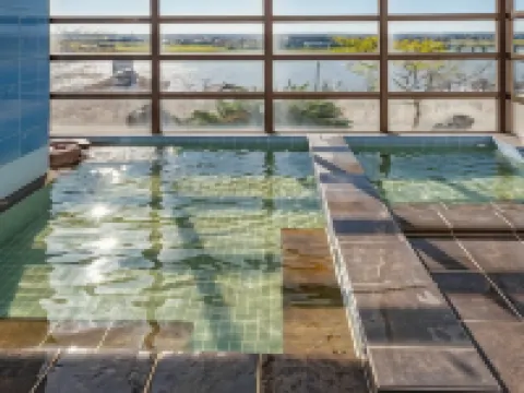 ホテル新まこも 潮来のホテル