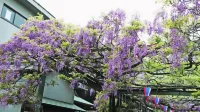 Toyoko Inn Chofu Keio Sen Fuda Eki - 3 étoiles