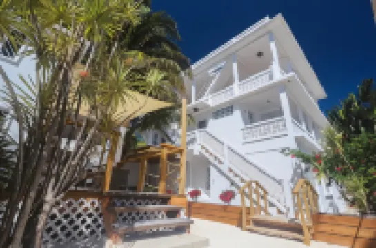 Treetops Hotel Hotels in 