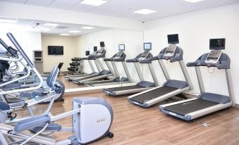 Holiday Inn Express & Suites Bensenville - O'Hare