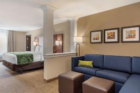 Comfort Inn & Suites Schenectady - Scotia