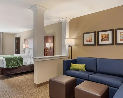 Comfort Inn & Suites Schenectady - Scotia Hotels in Schenectady County