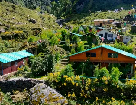 Chopta PeaceTrips Resort Отели в г. Гопешвар