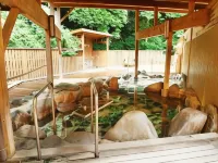 Hirayama Onsen Okuyamaga Onsen Ryokan Hotels in Nankan