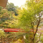 Kawanoya Hotels in Otaki