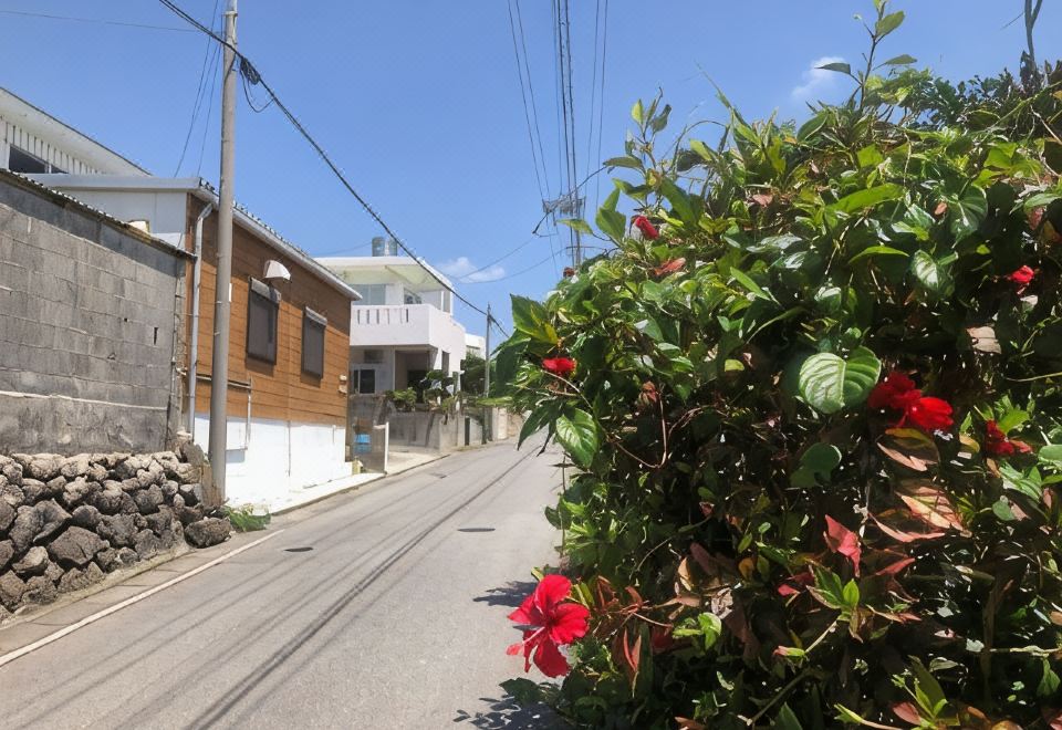 이토만 시 펜션 오도 MIM의 외부 모습