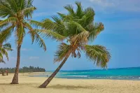 Jacaranda Indian Ocean Beach Resort - Beach