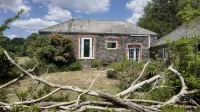 Gorgeous, Family Friendly Riverside Cottage in the Heart of Tamar River Valley - Homestays