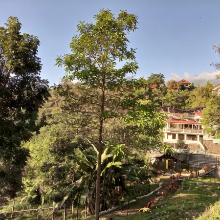 Pondok Wisata Jaden Trawas Mojokerto