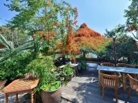 Phu Chaisai Mountain Chiang Rai Resort Hotels in Mae Chan