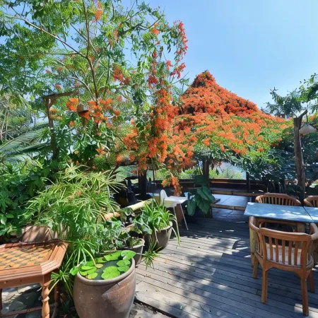 Phu Chaisai Mountain Chiang Rai Resort