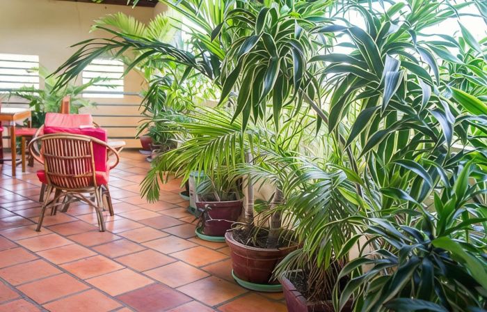 Visal Sak Guesthouse