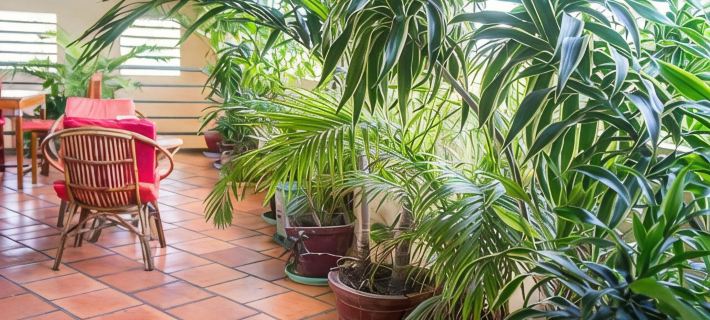 Visal Sak Guesthouse Hotels in Kep