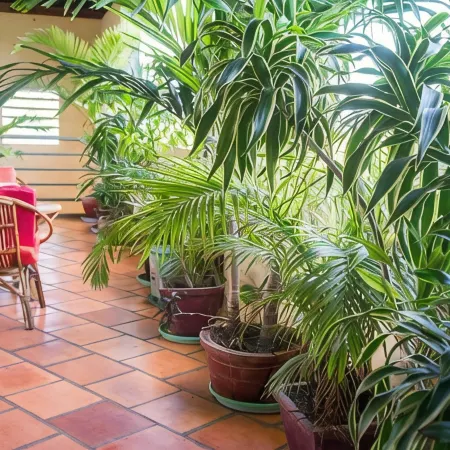 Visal Sak Guesthouse