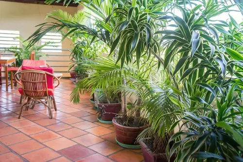Visal Sak Guesthouse - 2-Star