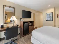 Best Western Oceanside Inn