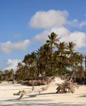 Kipepeo Lodge Zanzibar - Villas
