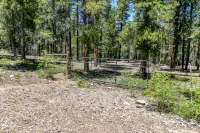 Cozy Mountain Cabin 1 Hour from Denver Backs up to National Forest EV Charging!