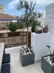 Casa Roma Sitges 2 bedrooms2 bathrooms apartment with terrace - Gym