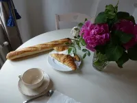 French Charm.  Charming 40-Square-Meter Apartment. - Condos