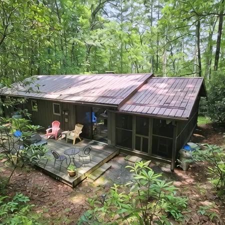 Fern Hill Cabin - near Dupont State Forest