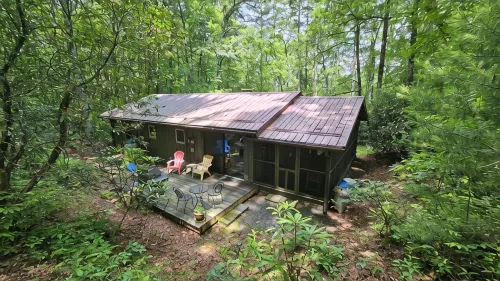 Fern Hill Cabin - near Dupont State Forest - Wifi