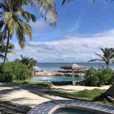 Spacious One Bedroom, Ocean View Condo - Gold Standard Approved Others