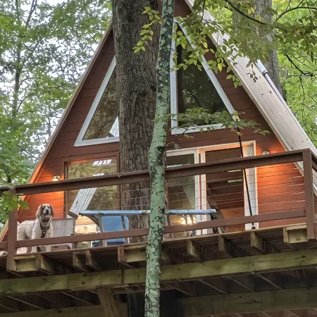 Spectacular Riverfront Treehouse in Beautiful Bedford County, PA,