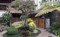 Jos & Hanny Homestay - con vistas a la montaña