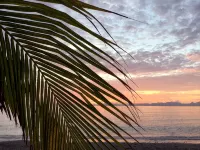 Luxurious Casita on the Beach - Beach