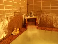 Kawakamiya Ryokan - Hot Springs