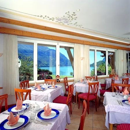 Hotel des Alpes