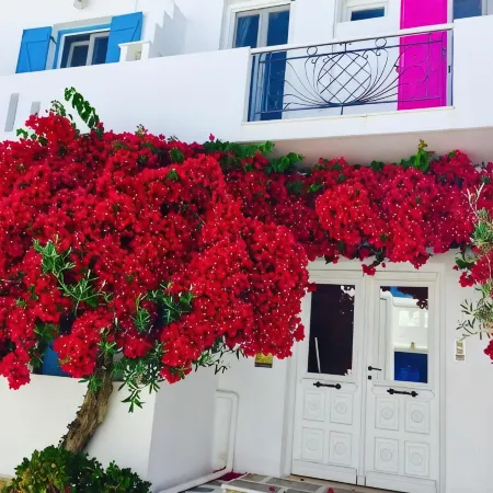 Aphrodite Boutique Hotel