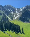 蒙疆之約|雲野牧山居·Mornmist·Clif·Dewpeak民宿（尼勒克店） - Wi-Fi