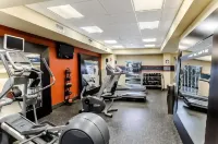 Hampton Inn Madison Huntsville Airport - Gym