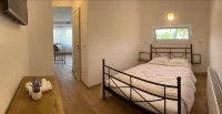 Premont Studios Ghimbav - Apartments