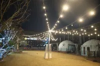 Chungju Pet Tree Park Glamping - Kitchens