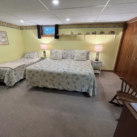 Peaceful Basement Apartment among serene woods, paths, and a stream near Acadia