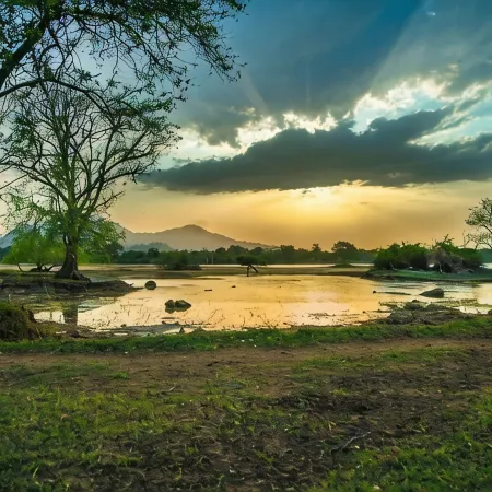 Wadula Safari Yala