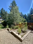 Modern, Spacious, and Private 1BR Suite - 3-Star