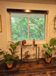 The Bradley House - Beautiful & Spacious Home - Near Campus & Stadium - con encanto