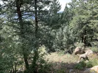 Morrison Mountain Studio Getaway - 4-Star