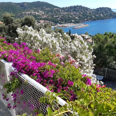 Villa with superb sea view , 6 people,  close to CANNES and SAINT TROPEZ