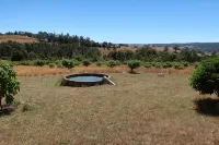 Cherry Top Accommodation - Cherry Top - 2 stelle