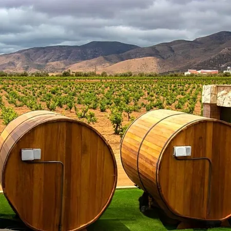 Hotel Boutique Valle de Guadalupe & Spa