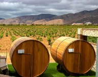 Hotel Boutique Valle de Guadalupe & Spa - Romantic