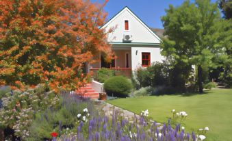 Montagu Vines Guesthouse