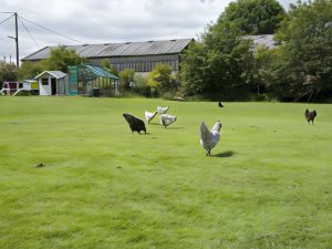 Padley Farm